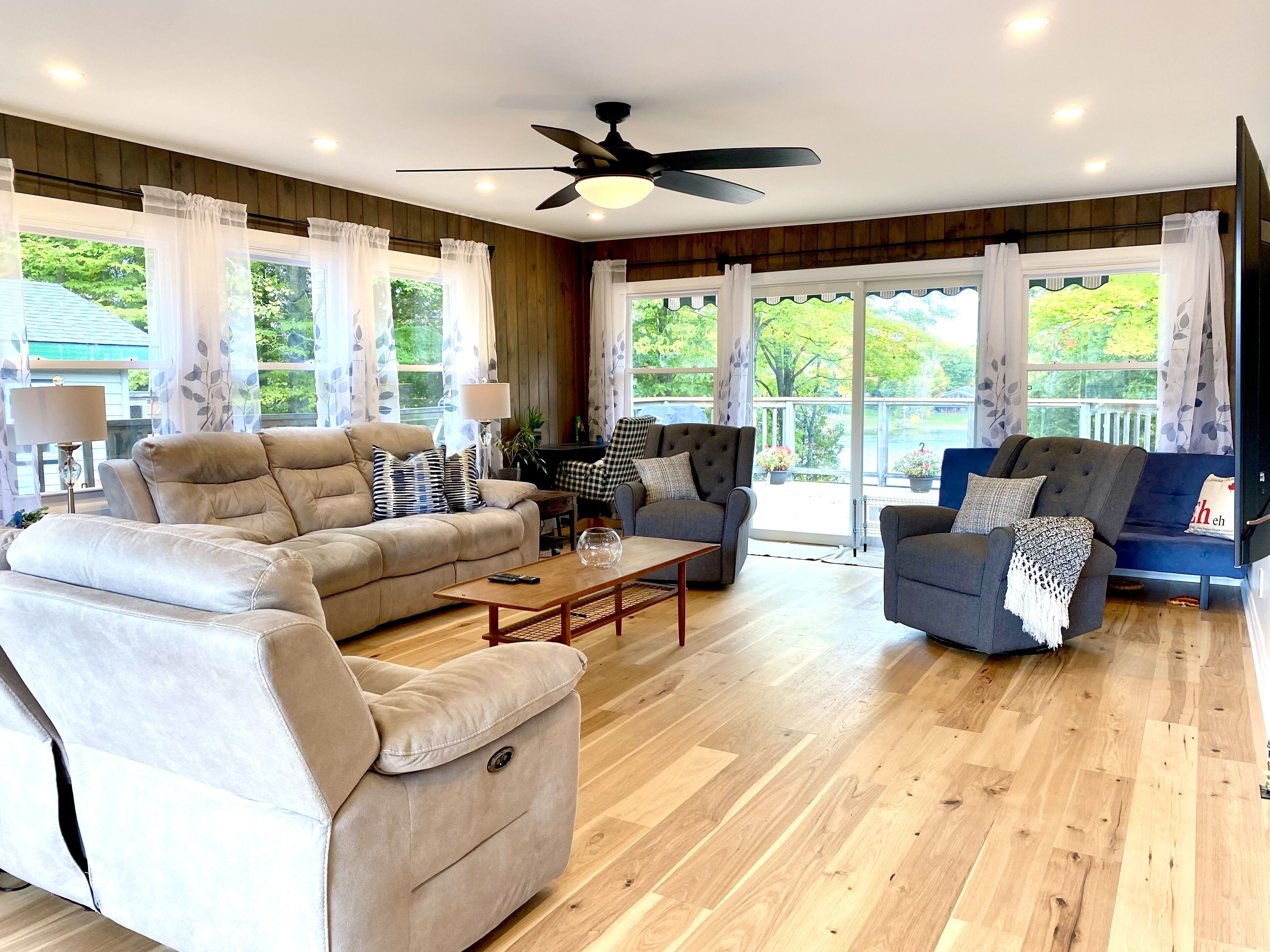 Televisor intel·ligent, llar de foc, videojocs i llibres 