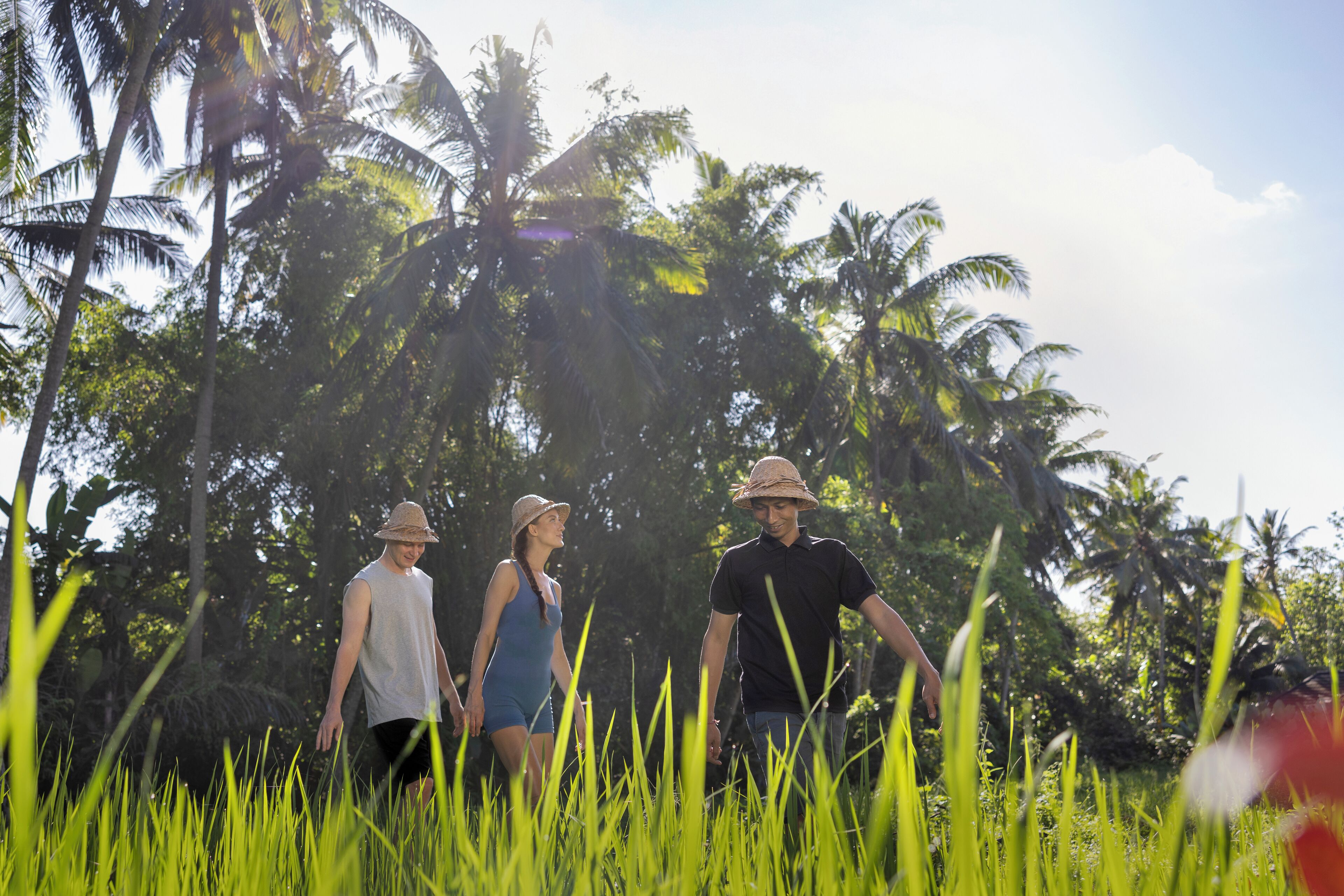 Three people walking through a field with tall grass and palm trees in the background.