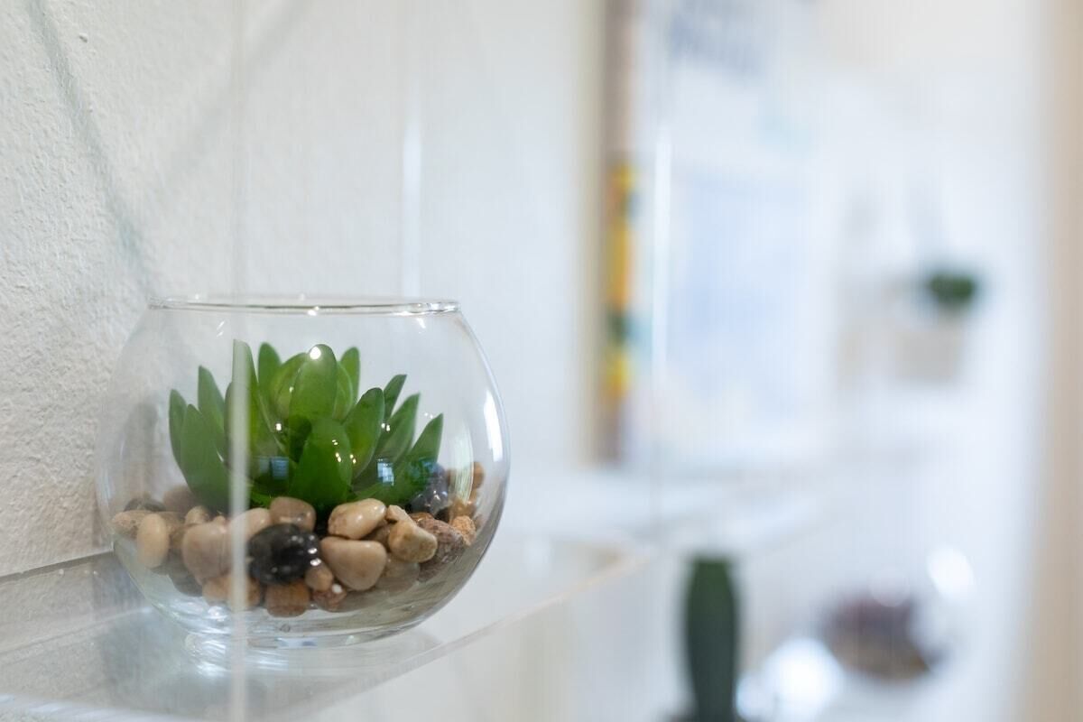 A clear glass bowl with green plants and pebbles on a white shelf.