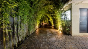 Un chemin pavé, bordé de plantes de bambou, mène à un bâtiment dont les volets sont fermés.