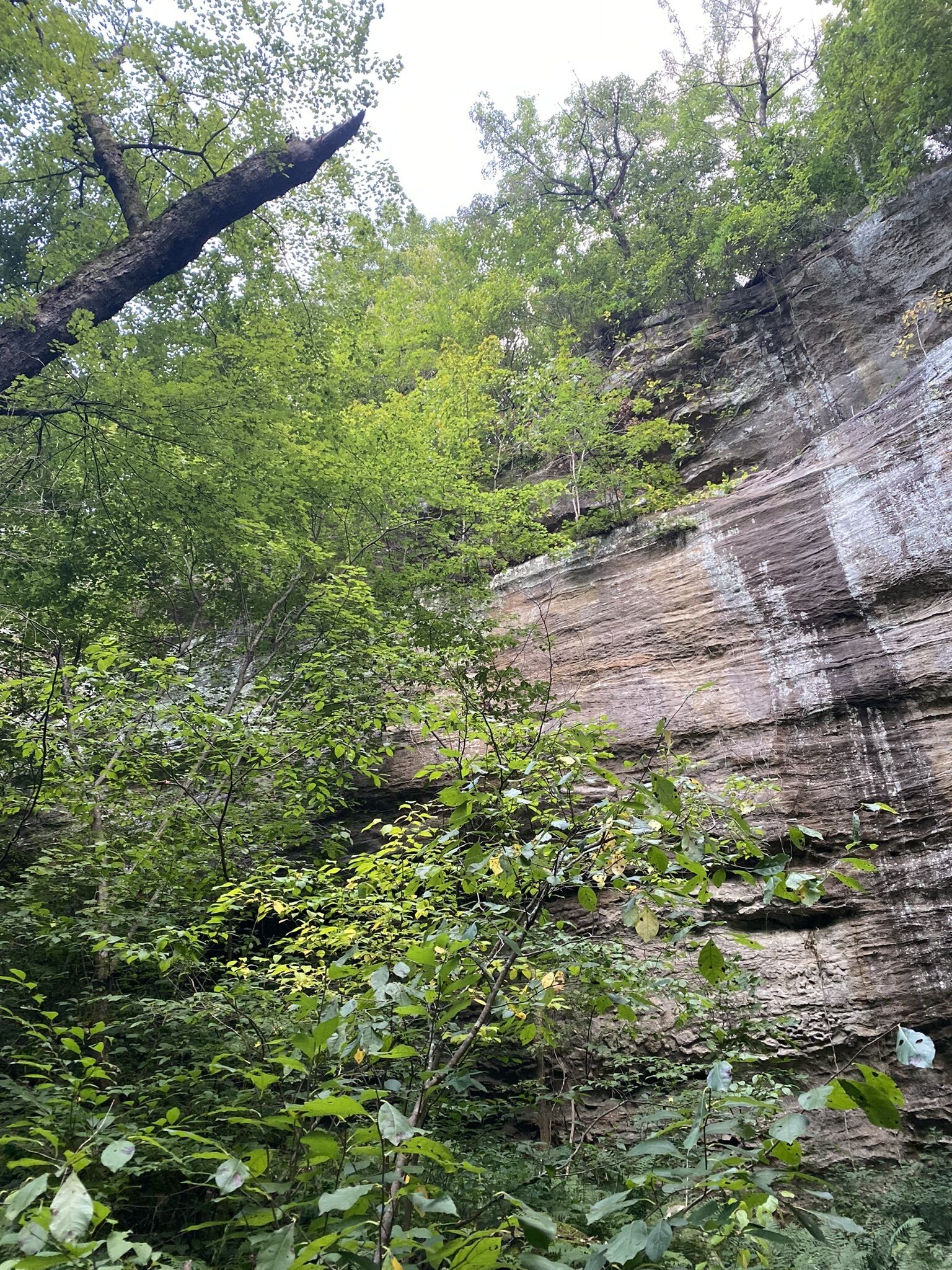 A natural rock formation surrounded by dense green foliage.