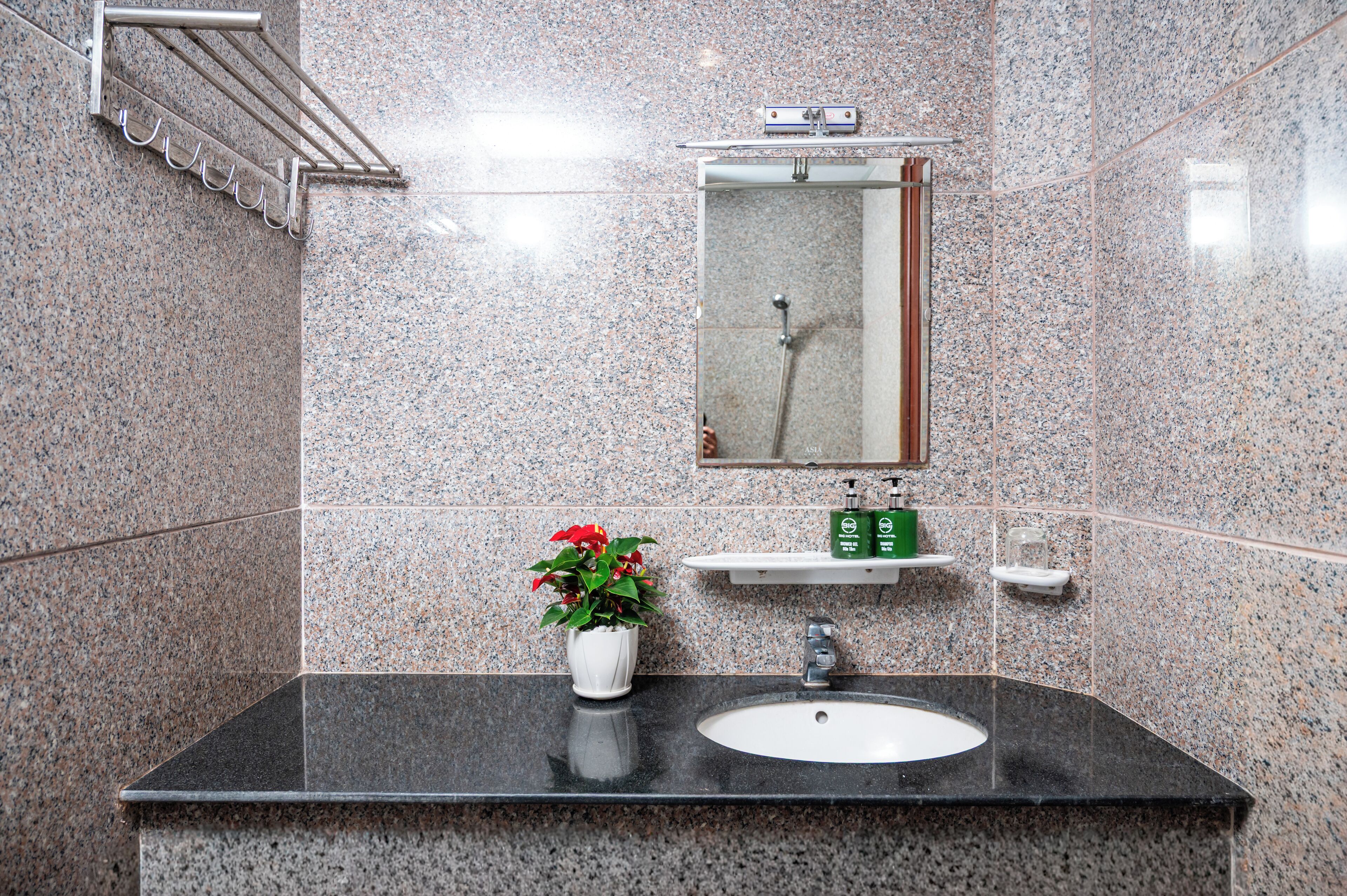 A bathroom with a granite countertop sink, a mirror, a towel rack, a potted plant, and a shelf with toiletries.
