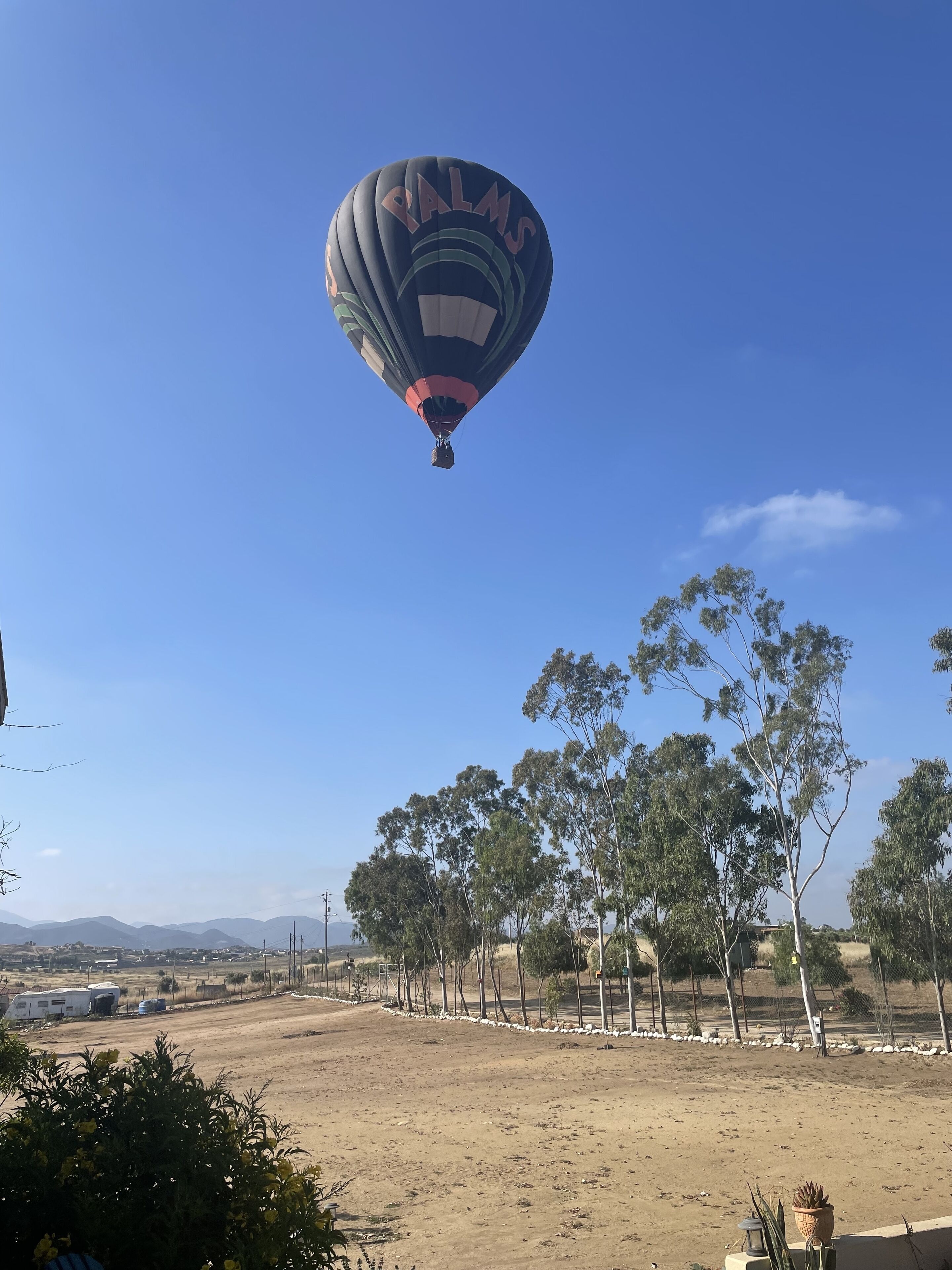 Une montgolfière sur laquelle on peut lire le mot « PALMS » survole un paysage composé d’arbres et d’un chemin de terre.