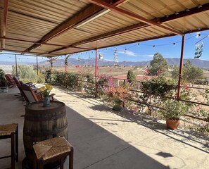 Terrace/patio - Spacious home in the heart of Valle de Guadalupe. (Francisco Zarco (Valle de Guadalupe))
