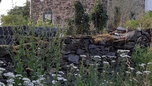 Une maison en pierre avec un toit à forte pente et une structure combinant la pierre et le bois.