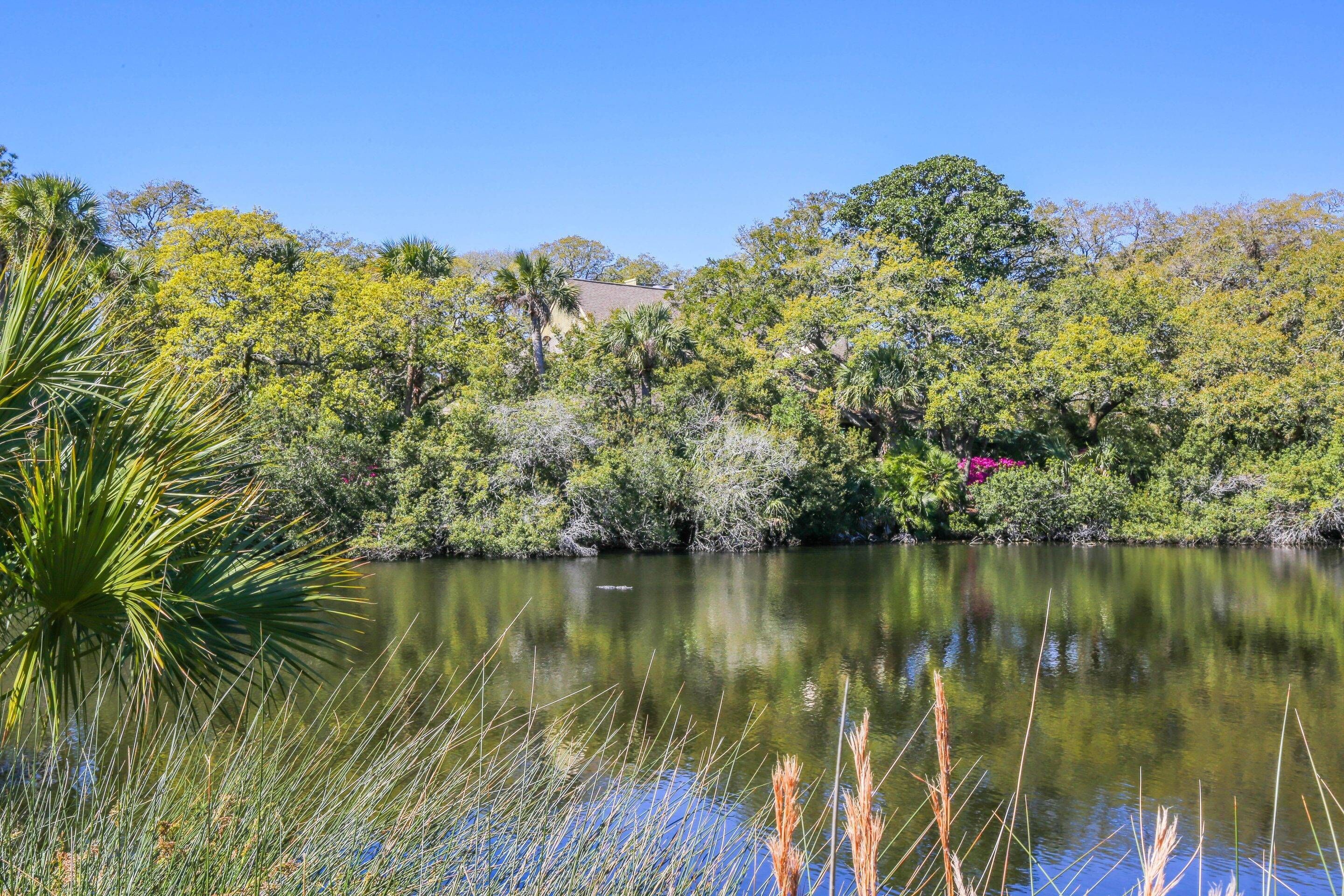 Un lac paisible, entouré d’une végétation luxuriante et d’arbres.