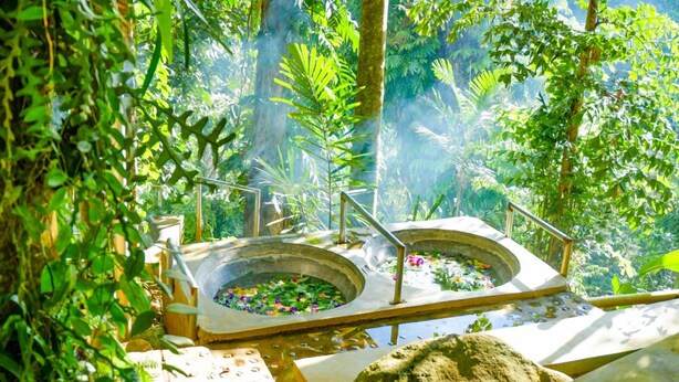 A natural hot spring area with two circular stone basins surrounded by lush greenery. - Venida Farms by SMS Hospitality (Iligan)