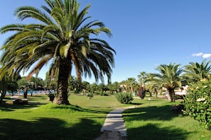 Stroll through the serene garden, surrounded by lush greenery and palm trees, along a well-maintained pathway.