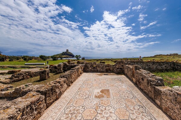 An ancient ruin with a patterned floor and stone walls, featuring a distant hill with ruins.