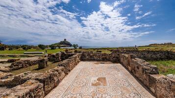 Área da propriedade