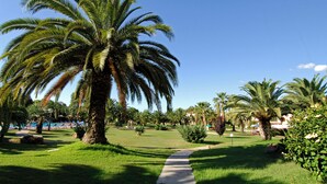 Un jardín bien cuidado con palmeras, un sendero despejado y una piscina al fondo.