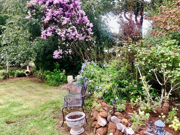 Jardim