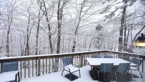 Een besneeuwde veranda met een tafel en stoelen, omringd door bomen.