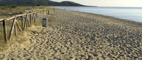 Playa en los alrededores y camastros