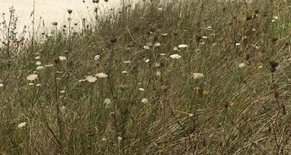 VILLA Vue Mer, Piscine, 50 m de la plage