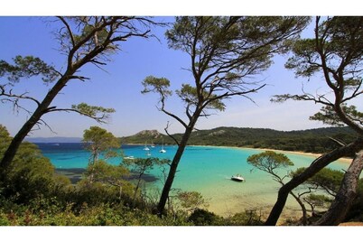 Beautiful garden level with terrace, sea view and direct access to the beach - swimming pool