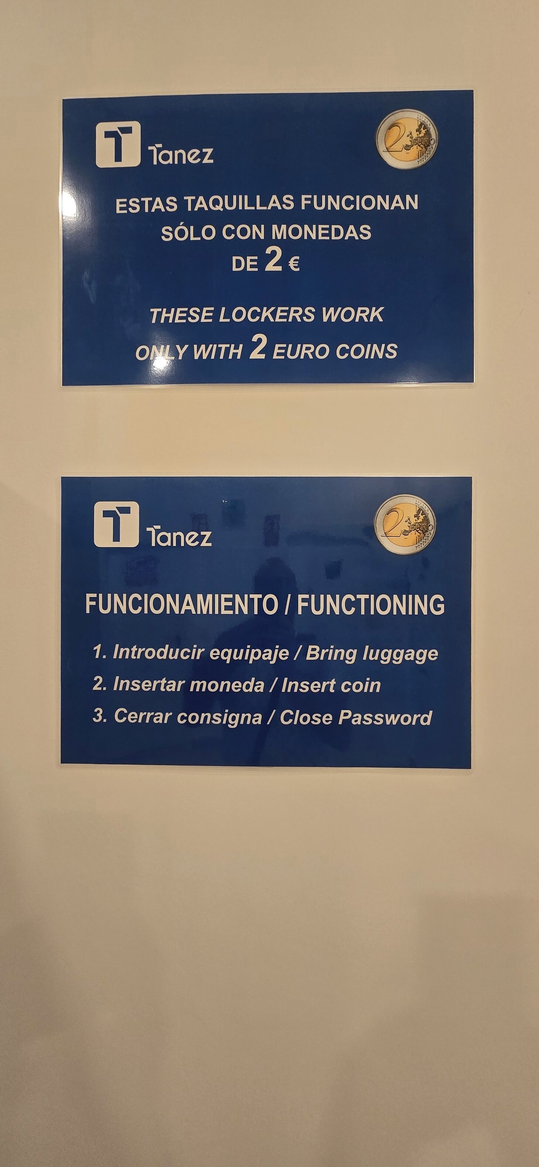 Foto - CH TANEZ CAROLINA a