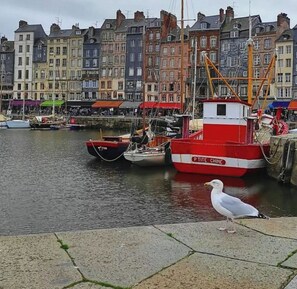 Jachthaven