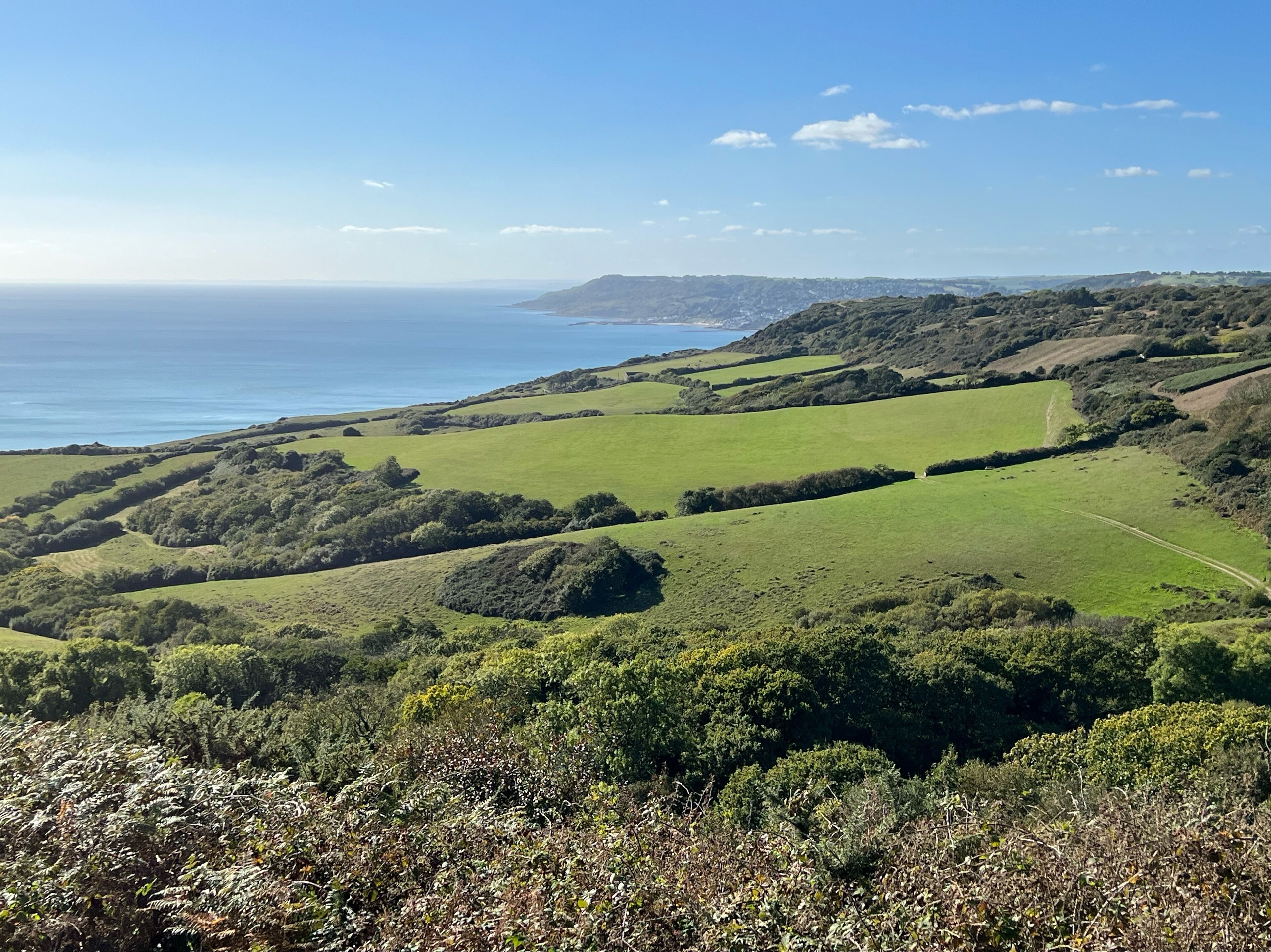 Un paysage côtier caractérisé par des collines douces et une vue sur la mer.
