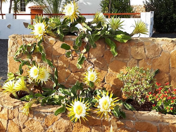 Detalle del exterior