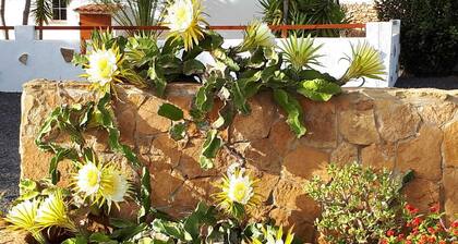 Casa Aura, feel-good oasis, 102 sqm vacation home with palm trees, terraces and garden