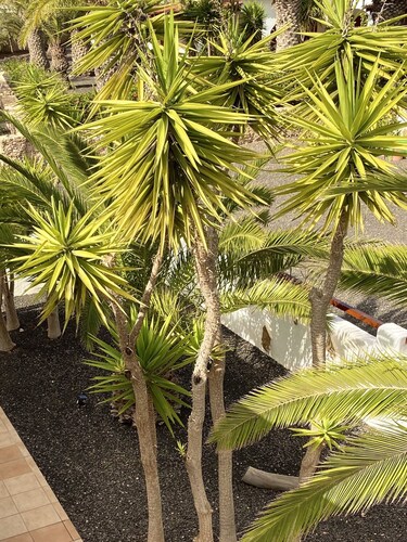 Casa Aura, feel-good oasis, 102 sqm vacation home with palm trees, terraces and garden