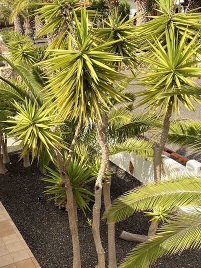 Casa Aura, feel-good oasis, 102 sqm vacation home with palm trees, terraces and garden