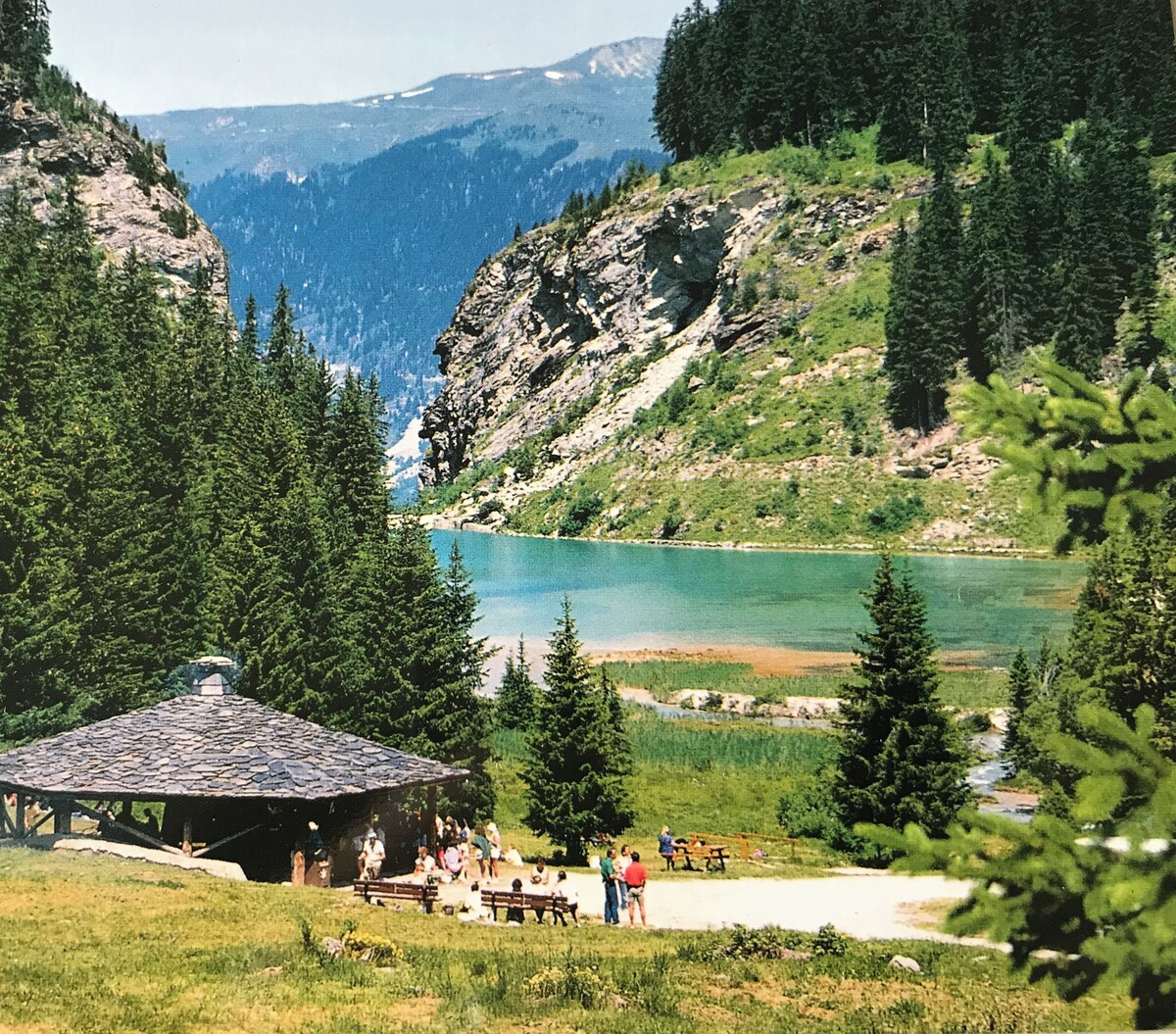 Image de profil de l’hôte