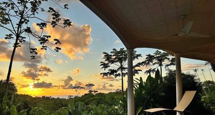 Three king suites-ocean views-perfect Ojochal location, privacy-wildlife