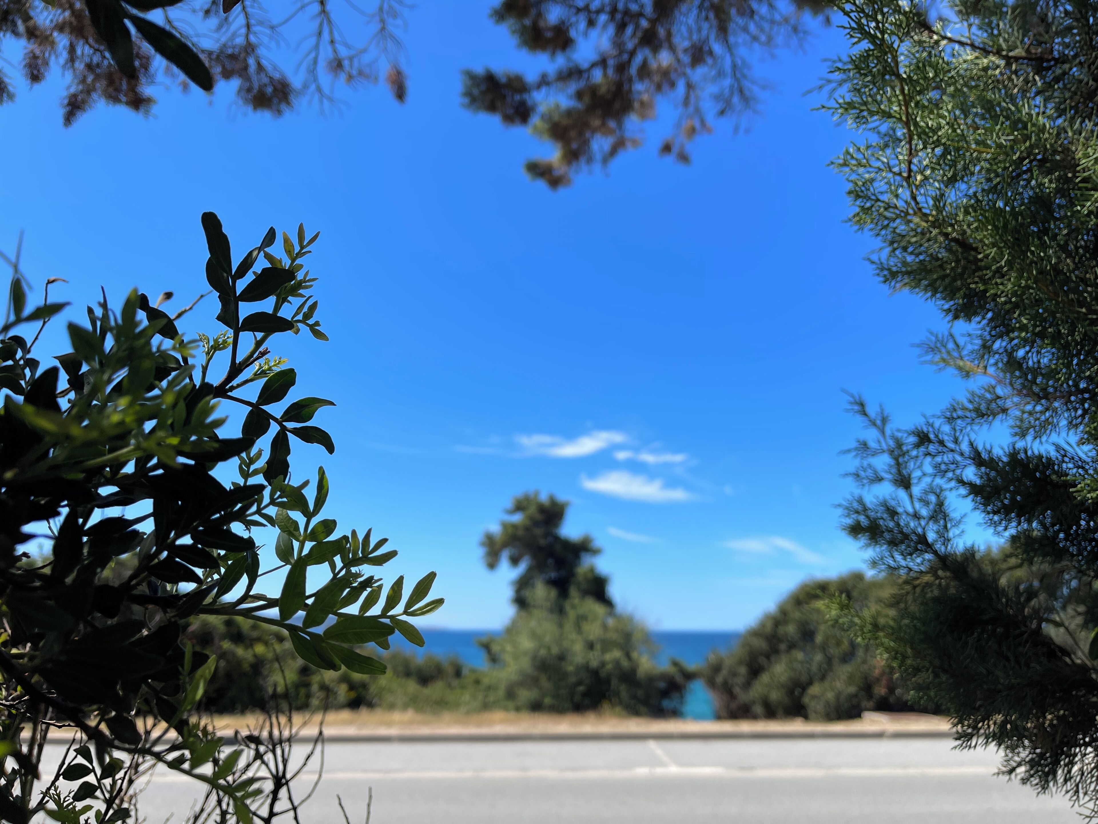 A road with a clear view of the sea and trees in the background.