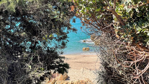 Trilho costeiro com terreno rochoso e vegetação densa a levar a uma praia.