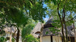 A traditional thatched-roof house with a white exterior, surrounded by lush greenery and palm trees. - Villa Mongoose Forest Dream Resort (Diani Beach)