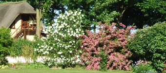 Gite Les Lys Le Tilleul  à 2 mn ETRETAT; Dans un cadre verdoyant et calme,