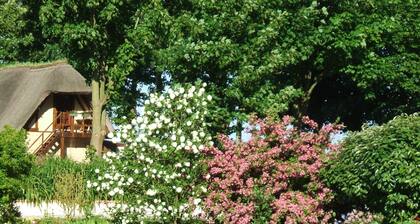 Gite Les Lys Le Tilleul Ă 2 mn ETRETAT; Dans un cadre verdoyant et calme,