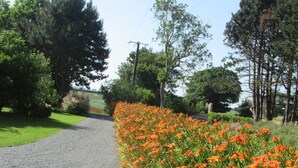Un camino de grava bordeado por flores naranja intenso y follaje verde.