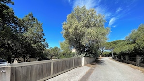 A paved road flanked by a wooden fence and stone wall, leading to a residential area with trees and a clear blue sky. - Villa Carla (Olmeto)