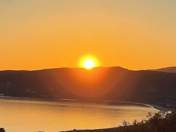 منوع