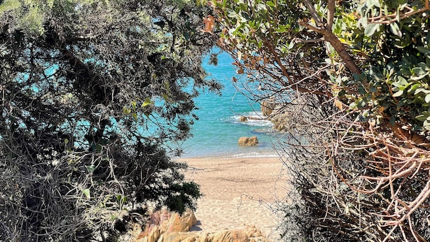 A coastal path with rocky terrain and dense foliage leading to a beach. - Villa Carla (Olmeto)