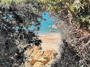 Un sendero costero con terreno rocoso y vegetación densa que conduce a una playa.