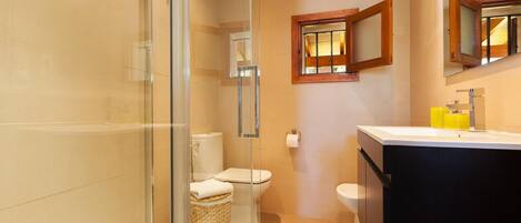 Shower, hair dryer, towels