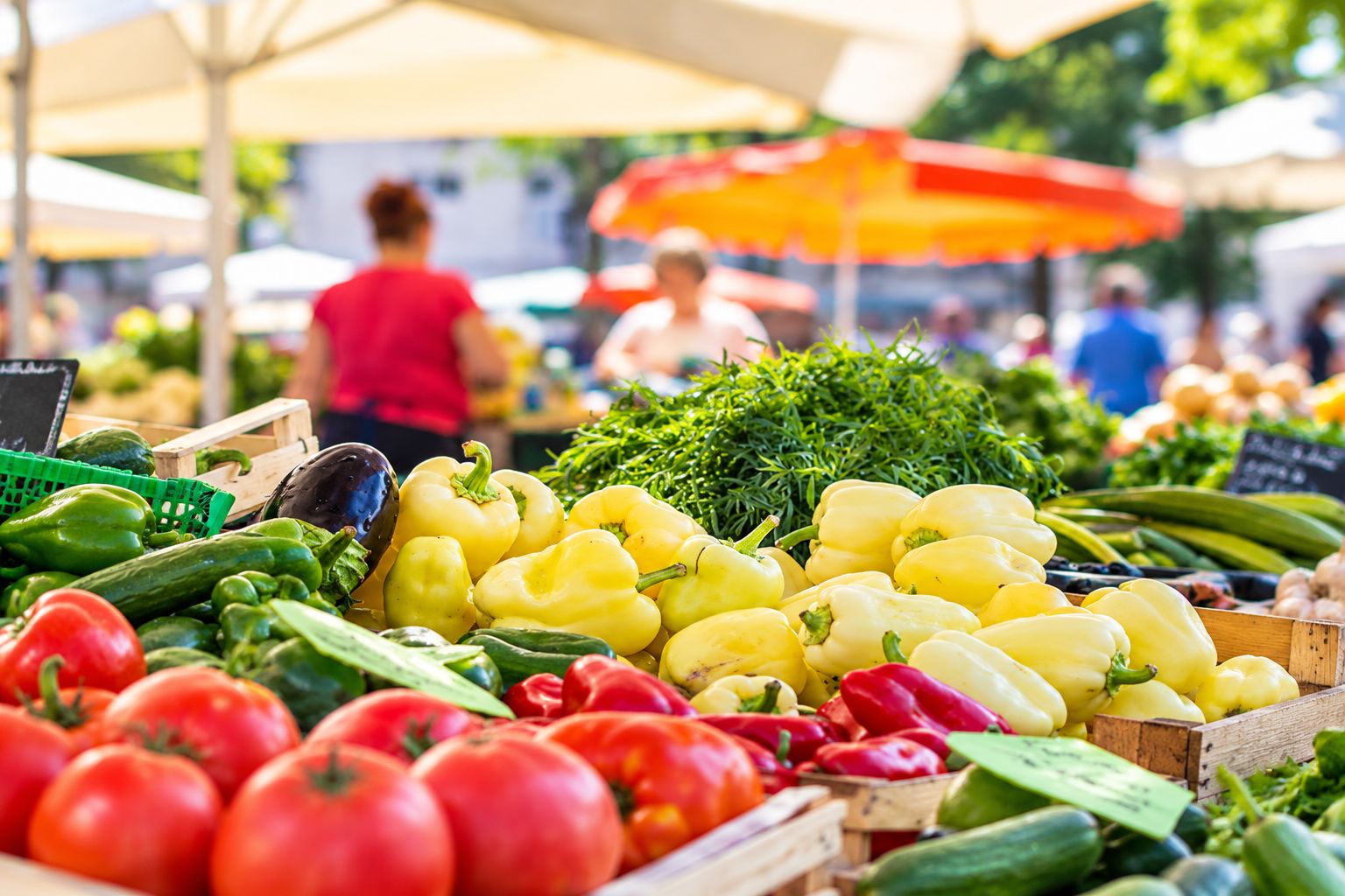 A market stall with various vegetables like tomatoes, cucumbers, and bell peppers.