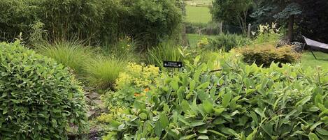 Área da propriedade