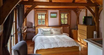 Cabin in the Forest.