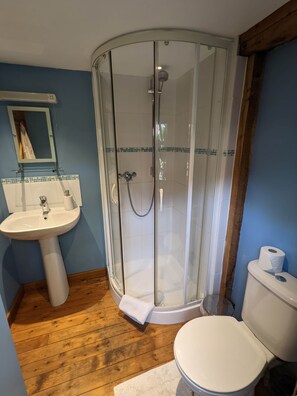 A bathroom with a glass-enclosed shower, a sink, and a toilet. - Cabin in the Forest. (Brockenhurst)
