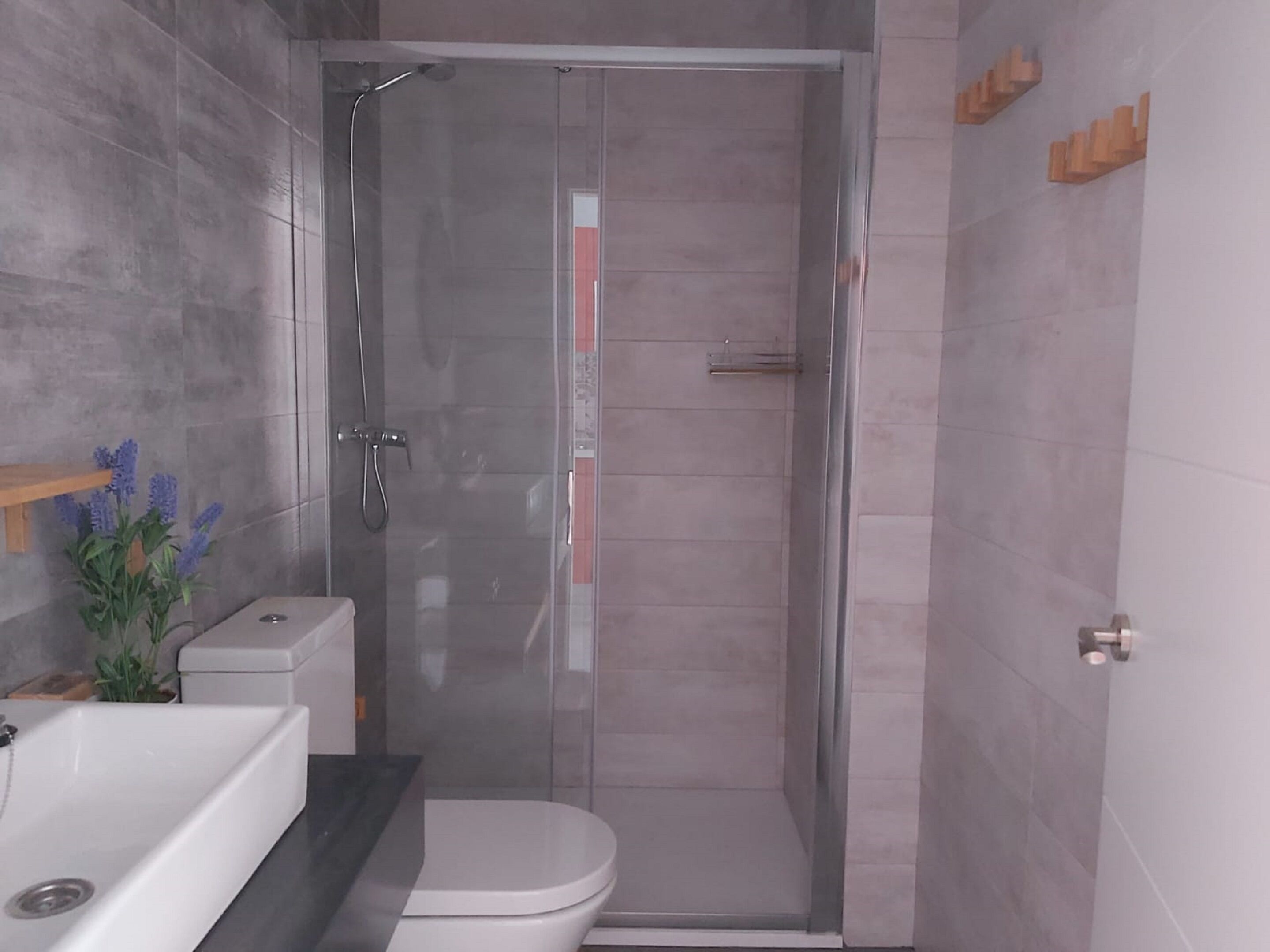 Ein modernes Badezimmer mit einer Duschkabine, einer weißen Toilette und einem Waschbecken mit einer Pflanze.