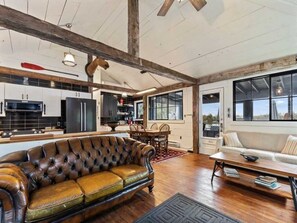 TV, fireplace, video games, offices
