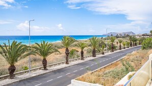 Une route côtière bordée de palmiers, offrant une vue dégagée sur l’océan.