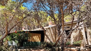 Un bâtiment rustique avec une porte en bois et un auvent vert, entouré d’arbres et d’arbustes.