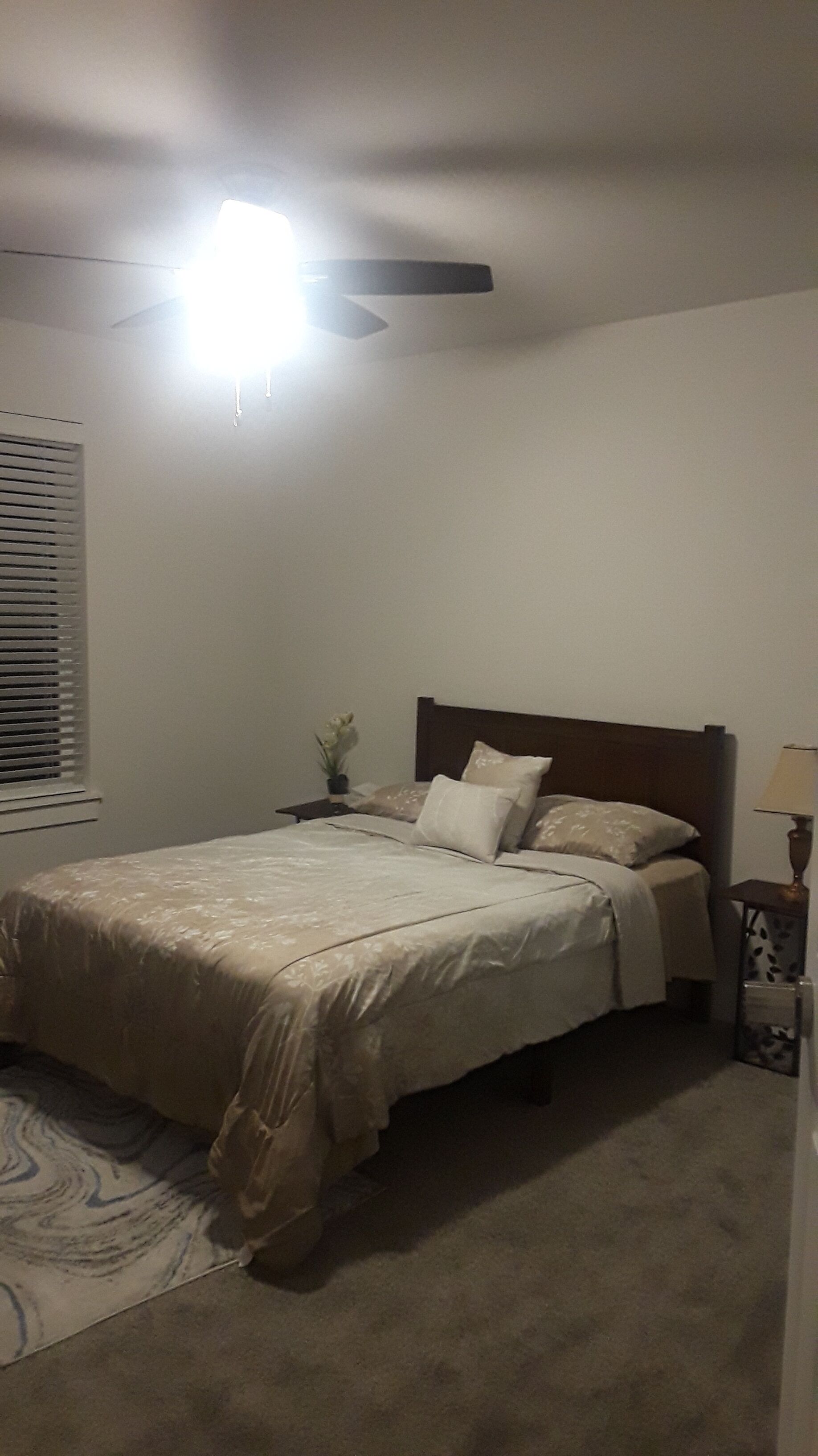 A bedroom with a bed, a ceiling fan, a nightstand, and a lamp.