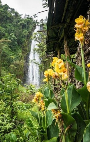 Una cascada con abundante follaje y flores amarillas en primer plano.